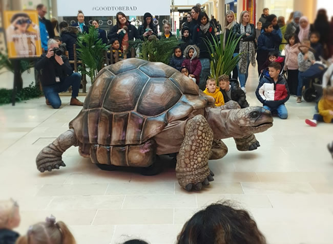 zelva the giant tortoise animatronic puppet by the flying buttresses